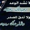 mosaahmd494