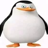 davadroid0