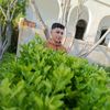user97670484713