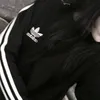 тгк:meowwq 🖤