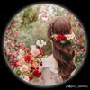 user1310256179149