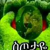 user369196819494
