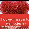 shukri.abdirahmaa4