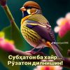user33970928551818
