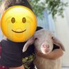 tuanadiyebiriiste3