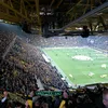 der_afdler1