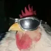 ben_fn80