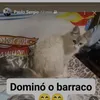 paulosergioamamti6