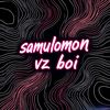 Samulomon Vz13