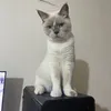 ming24_04
