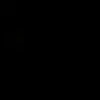 dnlion4325