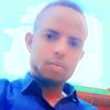 hasan41667