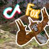 fox_is_cool