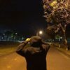 Tgk: VibeNest 🎧