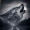 awolf901