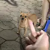 bbisowi