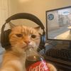 sutton_button