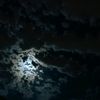 mr074693