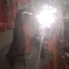 jaylenesadieinc