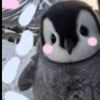 nik.alt.acc