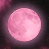 random_njsh
