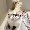 kimly.sivmey