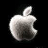 nal_cool
