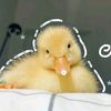 thuchitkin044