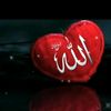 rao.anas8