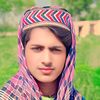 qurban.ali4038