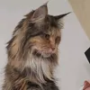basia.pelasia0
