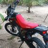 user33323991300458