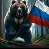 andrei29154