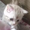 chococaramel_33