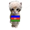 azeri20_1