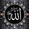 user7017591110868