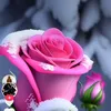 user88749722733967