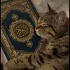 nourren_l