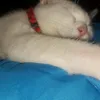rosannamaria24