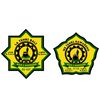 manesa_scout