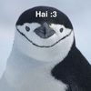 𝓚𝓮𝓵𝓾𝓽𝓱𝓮𝓹𝓮𝓷𝓰𝓾𝓲𝓷🐧