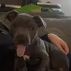 reggiemybbydog
