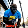 bigfootblogsar