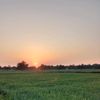 dullabhatti011