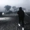 fr_vw3
