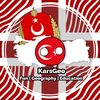 karsgeo8