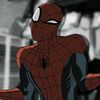 spidey61608