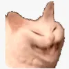 meobeo2981