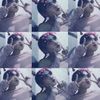 pacarrestu_11