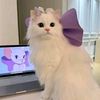 user88010708410590